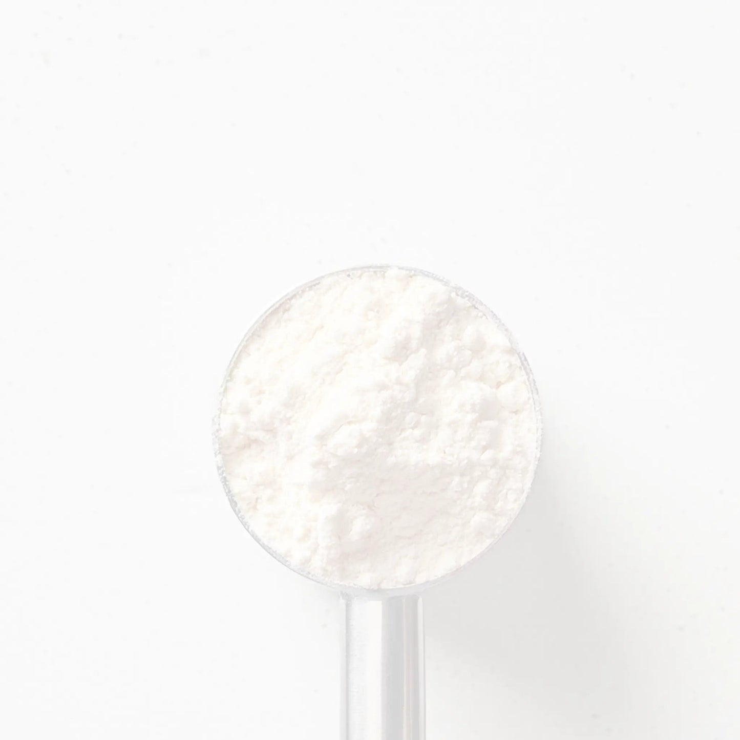 Metabolic Protein Vanille Blueprint