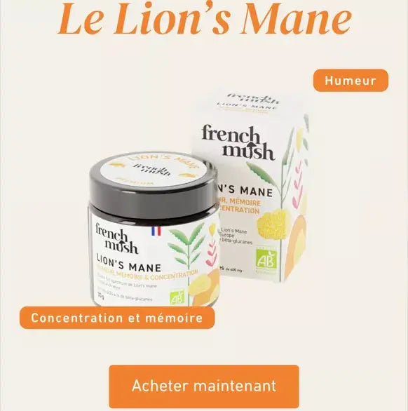 Poudre d'extraits de Lion's Mane French Mush