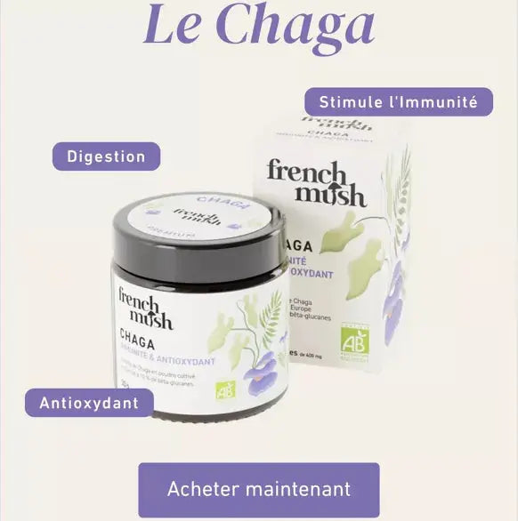 Poudre d'extraits de Chaga French Mush