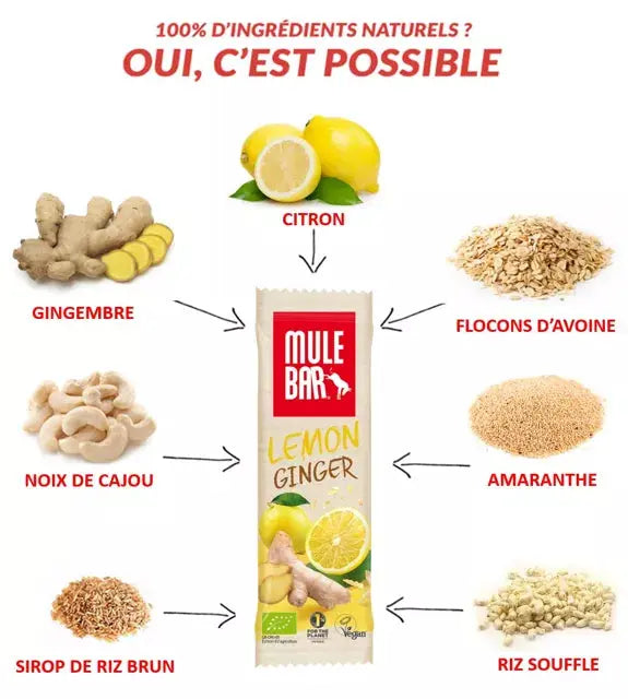 Barre céréales fruits bio & vegan Citron - Gingembre 40g Mulebar