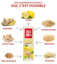 Barre céréales fruits bio & vegan Citron - Gingembre 40g Mulebar
