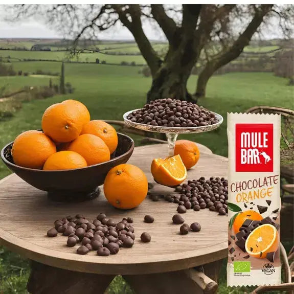 Barre céréales fruits bio & vegan Chocolat - Orange 40g Mulebar