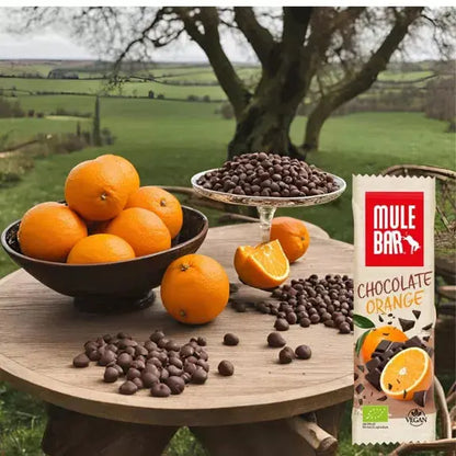 Barre céréales fruits bio & vegan Chocolat - Orange 40g Mulebar