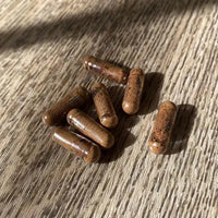 Extraits Cordyceps - Gélules French Mush