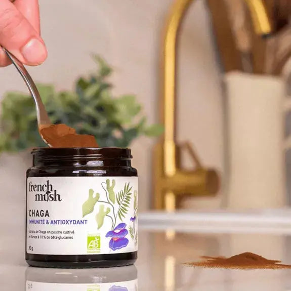 Poudre d'extraits de Chaga French Mush