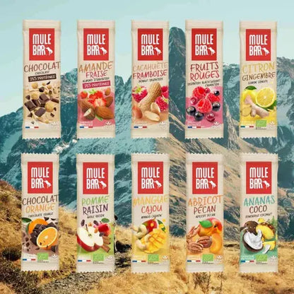 Barre céréales fruits bio vegan Abricot - Noix de pécan 40g Mulebar