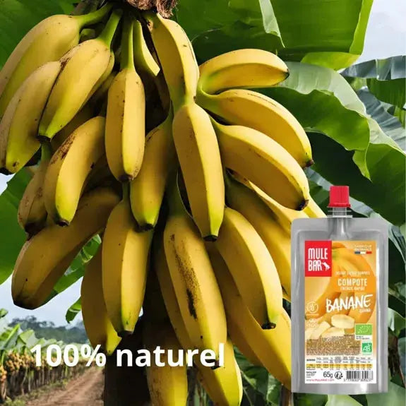 Compote énergétique aux fruits Bio - Banane Mulebar