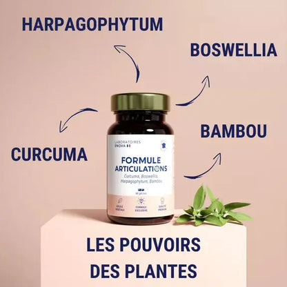 Formule articulations Laboratoires ENOVA