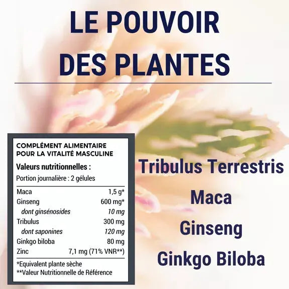 Formule Hommes Laboratoires ENOVA