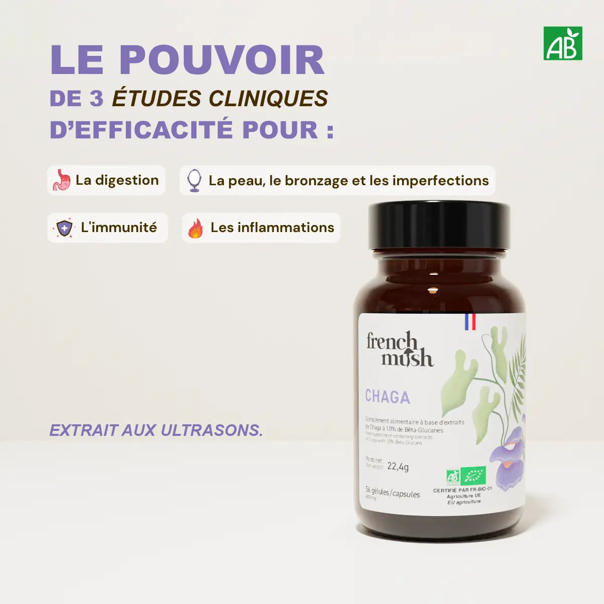 Extraits Chaga 56 gélules