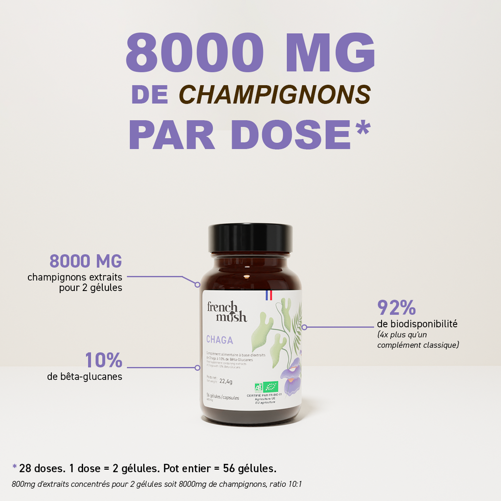 Extraits Chaga 56 gélules French Mush