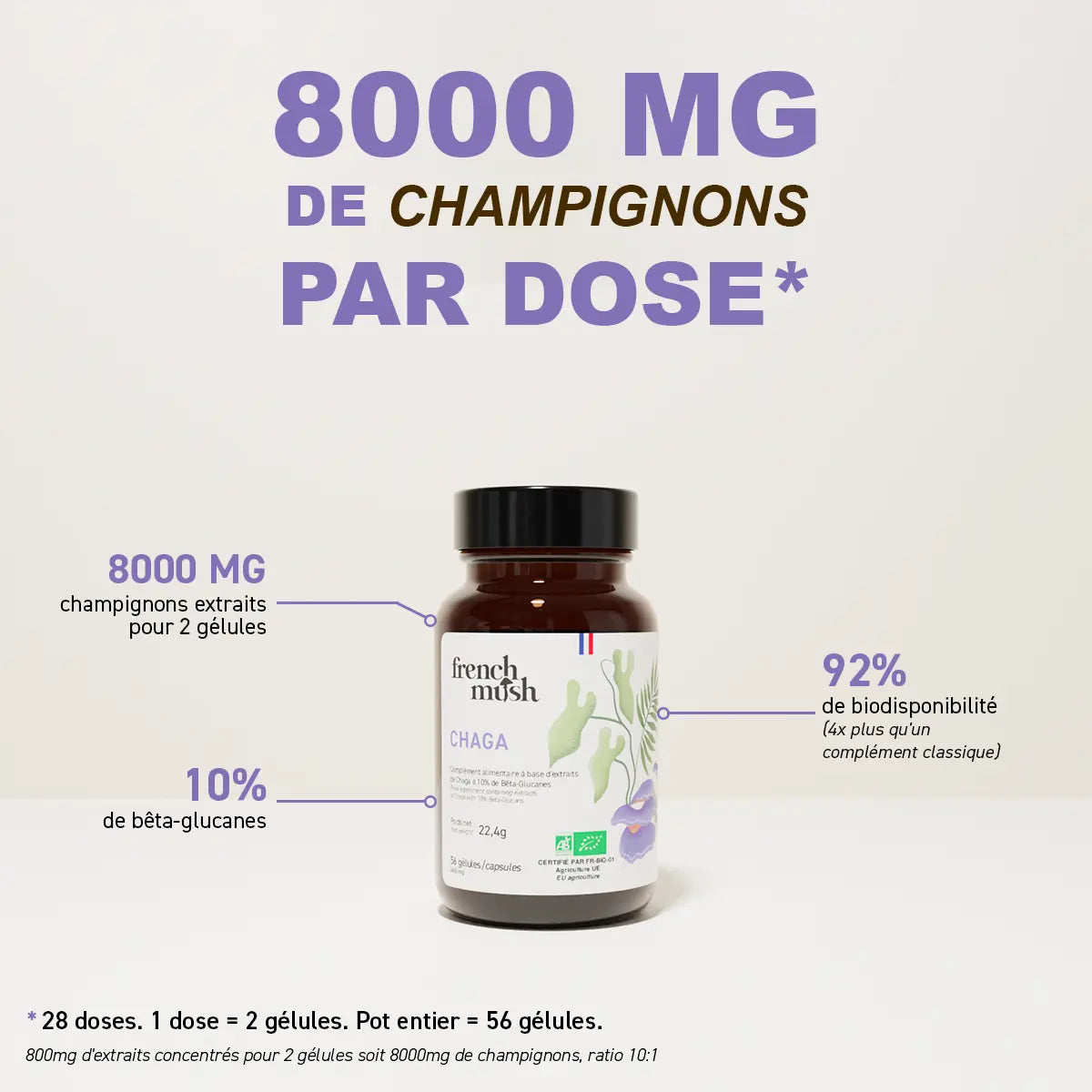 Extraits Chaga 56 gélules