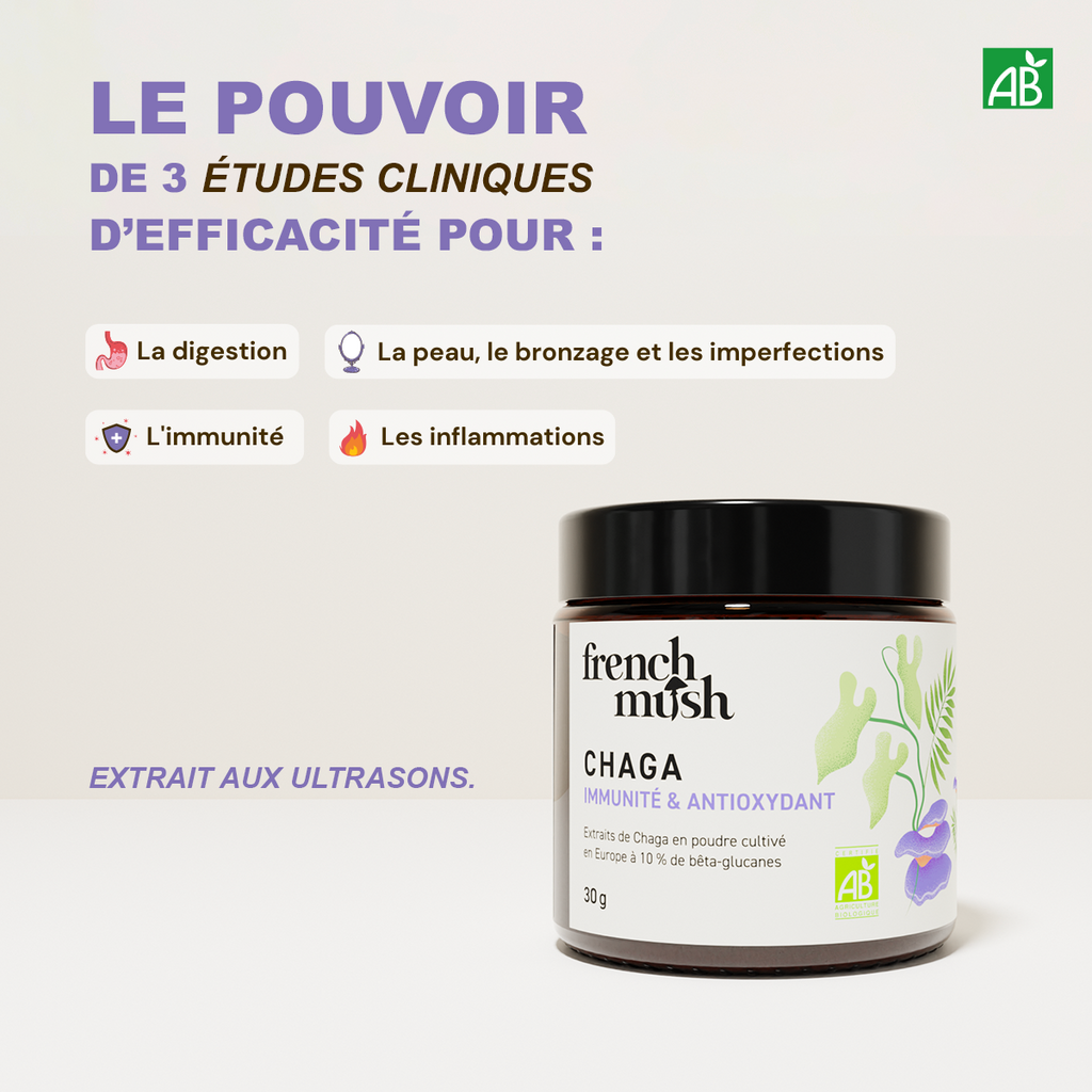 Poudre d'extraits de Chaga 30g French Mush