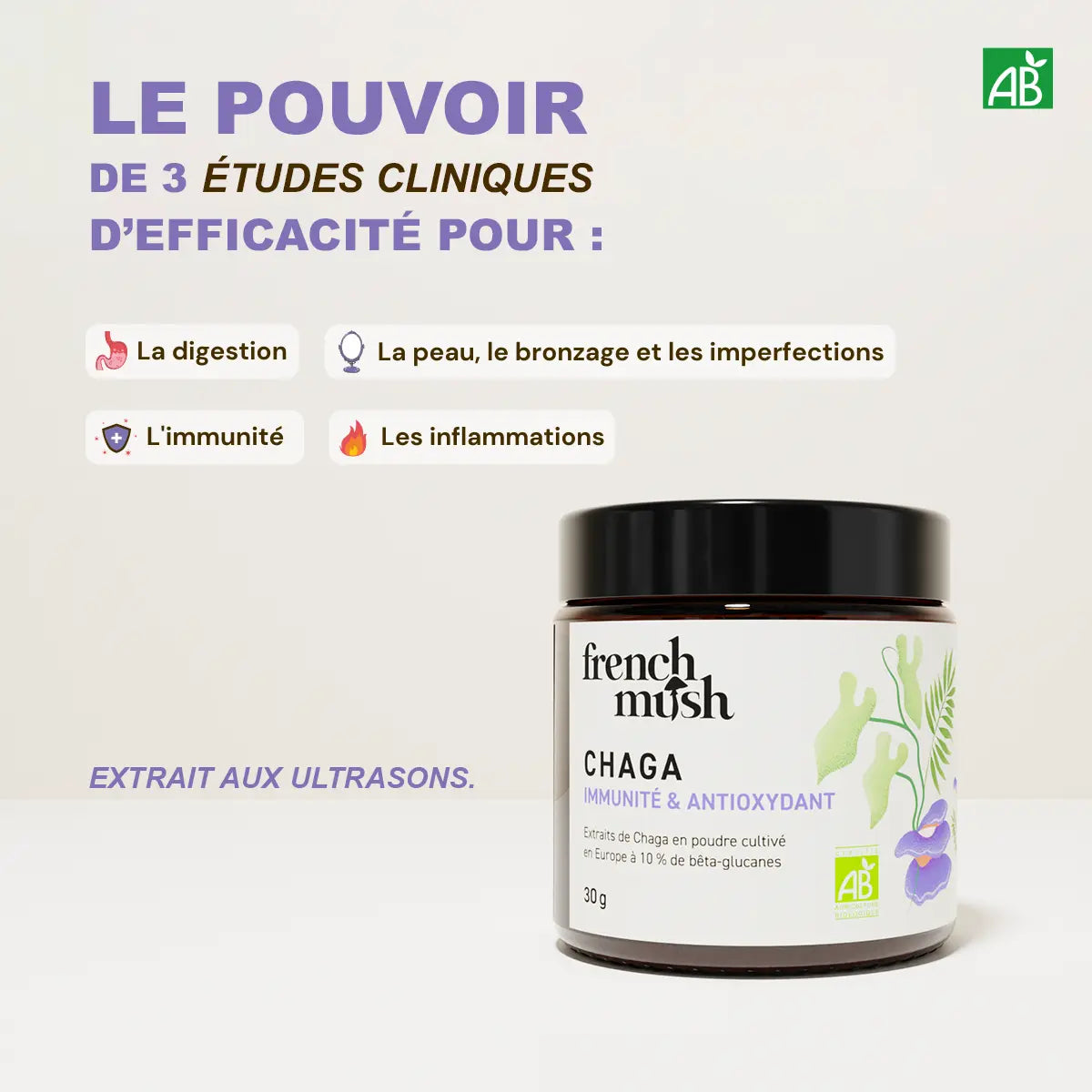 Poudre d'extraits de Chaga 30g