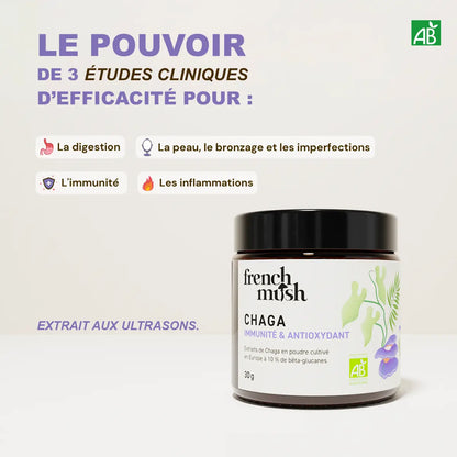 Poudre d'extraits de Chaga 30g