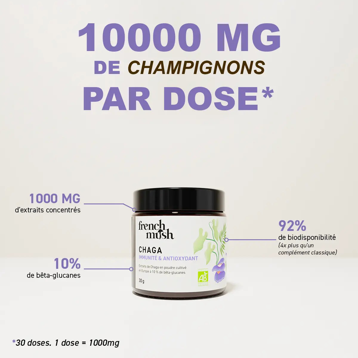 Poudre d'extraits de Chaga 30g