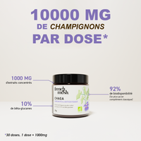 Poudre d'extraits de Chaga 30g French Mush