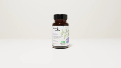 Extraits Chaga 56 gélules