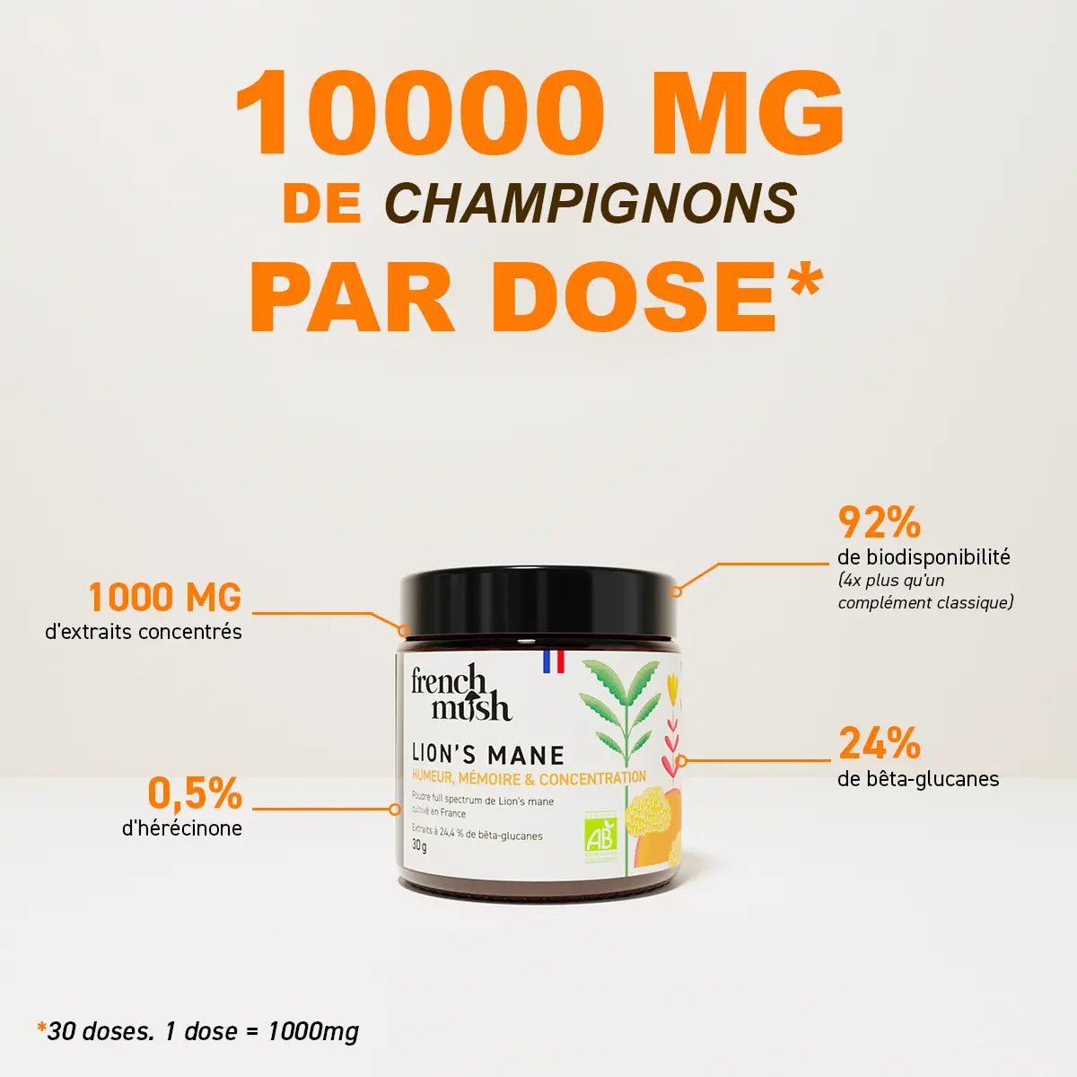 Poudre d'extraits de Lion's Mane 30g