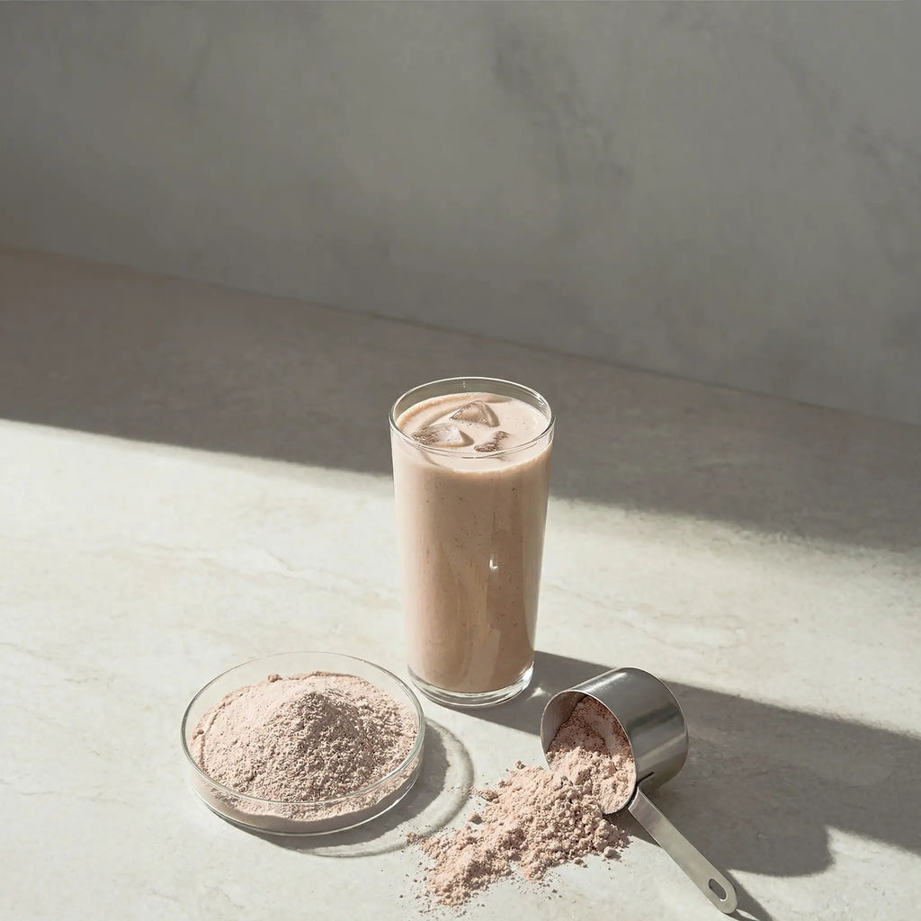 Longevity Protein Chocolat Blueprint