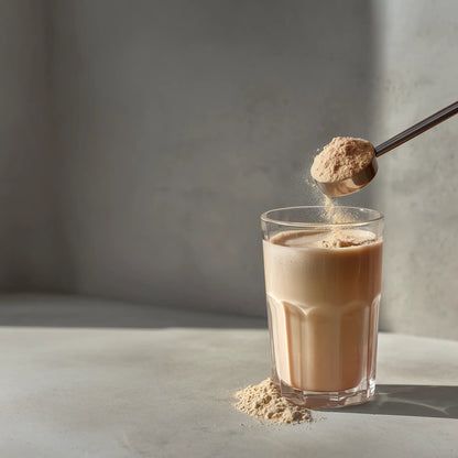 Longevity Protein Chocolat
