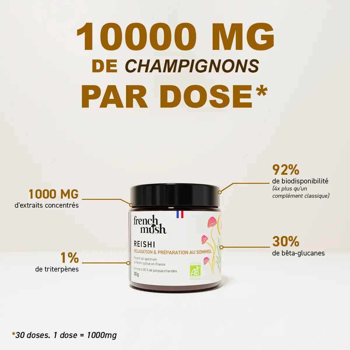 Poudre d'extraits de Reishi 30g
